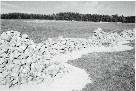 Piles and low walls of stones as artificial mounds of stone
