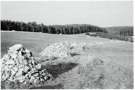 Rows of stone piles as artificial mounds of stones in arable fields