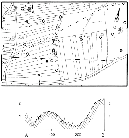 Micro-structures in arable land and distribution of Skylark territories 2