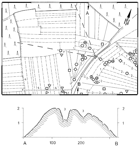 Micro-structures in arable land and distribution of Skylark territories 4