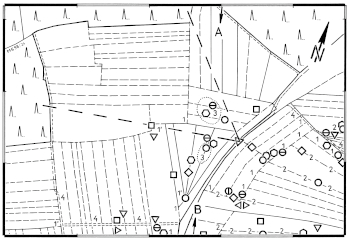 Feldlerchen-Brutplätze nahe an traditionellen Kleinstrukturen des Ackerlandes 2  -  Skylark breeding sites near traditional micro-structures in arable land 2