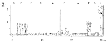 Kleinacker-Bewirtschaftung und Feldgärten für Würger und Steinkauz  -  Mimicking of traditional multi-crop cultivation for Shrikes and Little Owl 2