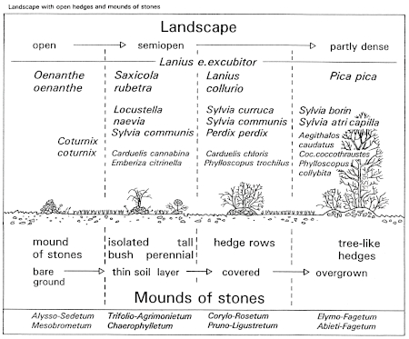 Bird species of landscapes with open hedges and traditional mounds of stones