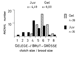 Clutch size and brood size