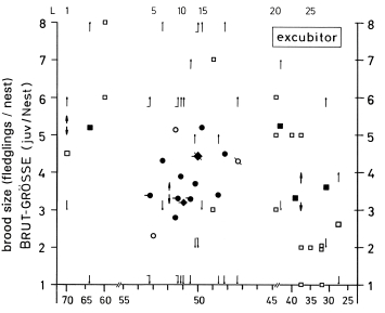 Brood size of L. excubitor, in relation to latitude