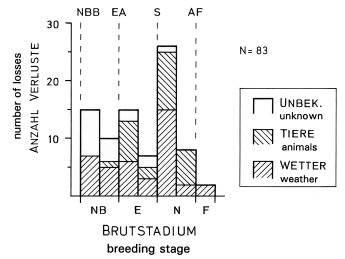 Stages and causes of brood losses