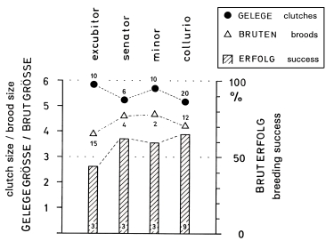 Clutch size, brood size and breeding success of shrikes in Central Europe: averages