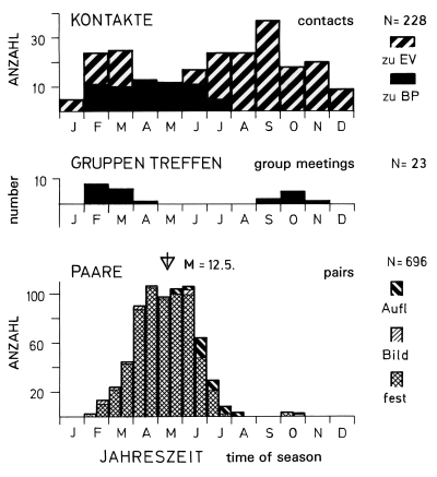 Annual cycle of social behaviour of the Great Grey Shrike in the region of southwestern Schwäbische Alb