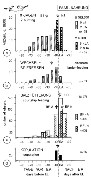 Division of food in breeding-pairs during pair-formation