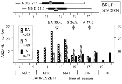 Seasonal position of the breeding cycle