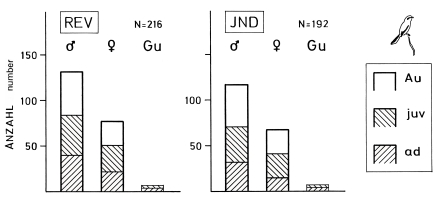 Age and sex ratio of wintering population of Great Grey Shrike in the SW-Alb region