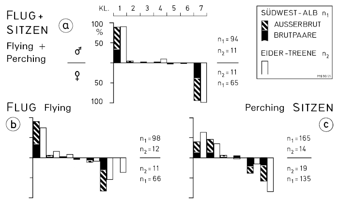 Z15 - Abb.7-1 Sex characteristics on the wing of the Central European Great Grey Shrike L. e. excubitor - from field observations