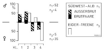 A15 - Fig.10  Sex characterisitics on the tail (rectrix R6) of Great Grey Shrike L. e. excubitor - from field observations