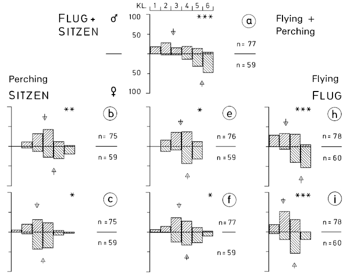 A15 - Fig.14-1 Sex characteristics on the wing of the Loggerhead Shrike L. ludovicianus - in museum skins